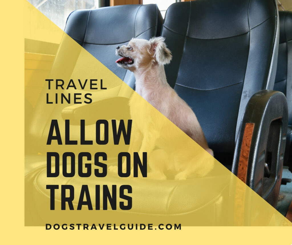 dogs on trains