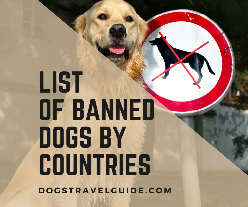 countries that dont allow dogs