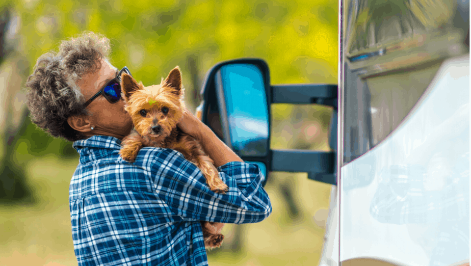 Dogs Travel Guide Everything You Need To Know When Traveling With