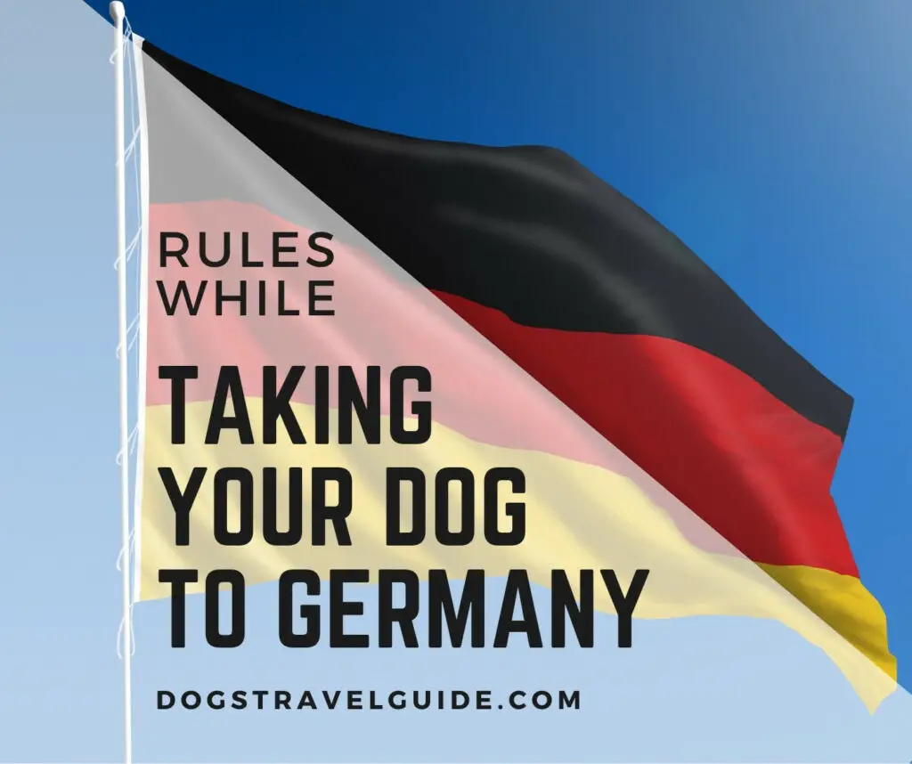 rules while taking your dog to germany