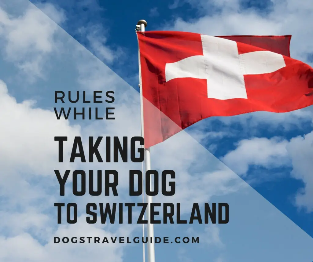 rules while taking your dog to Switzerland