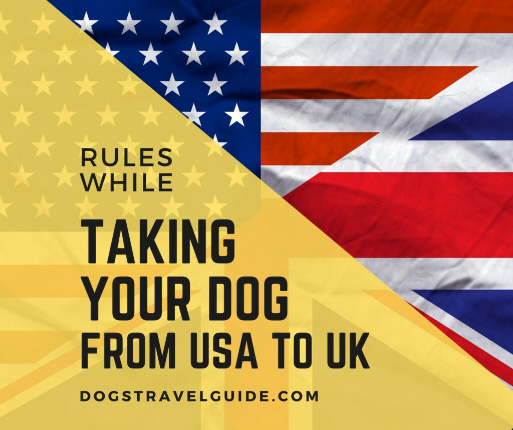 taking your dog from usa to uk