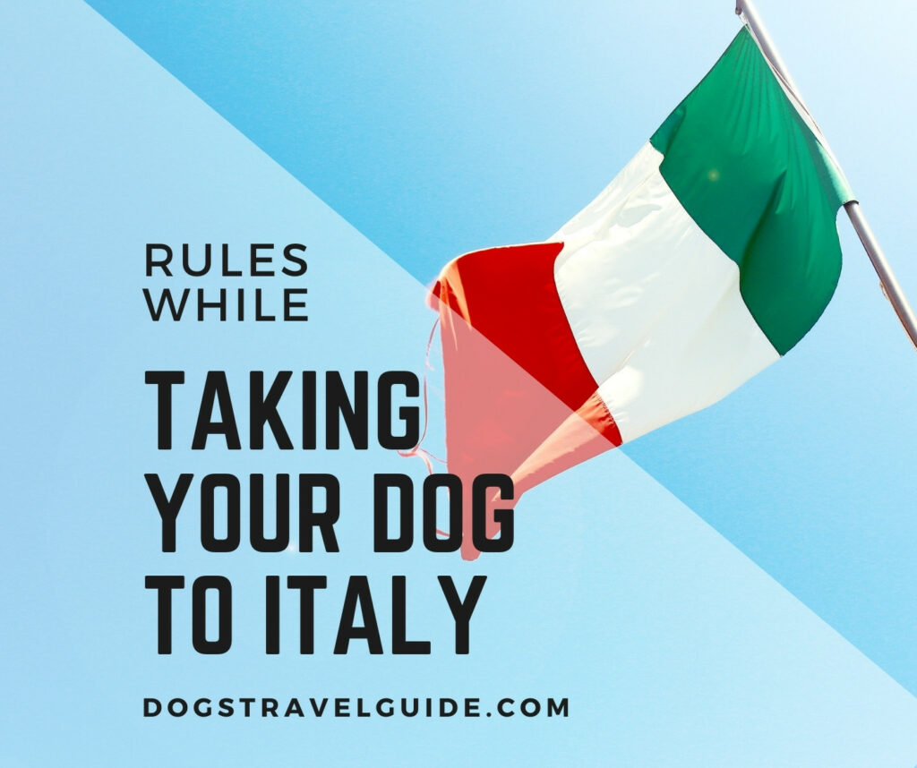 taking your dog to italy