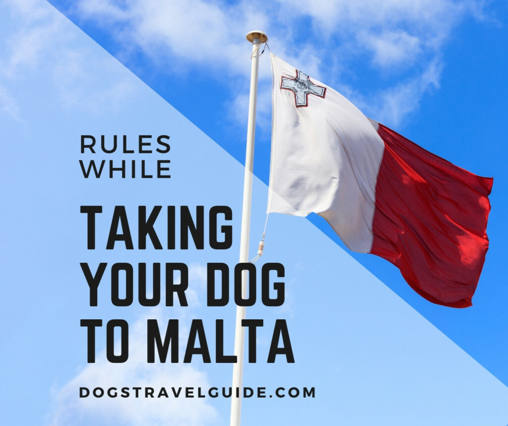 taking your dog to malta