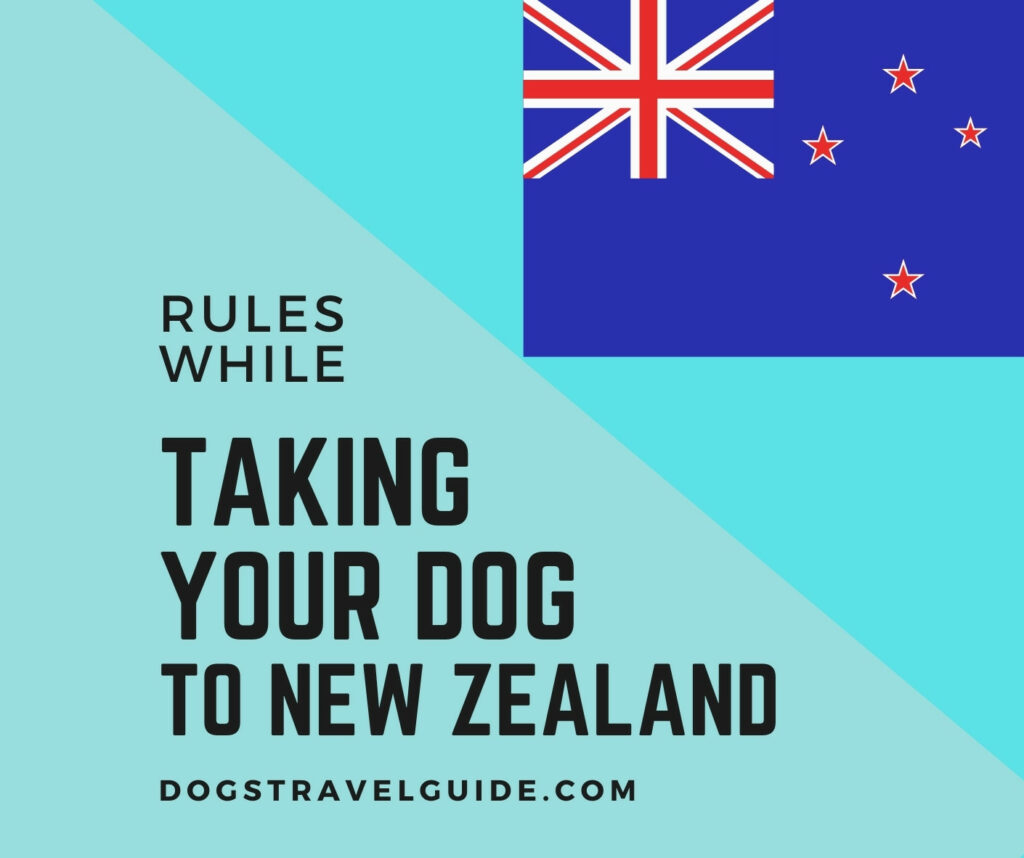 taking your dog to new zealand