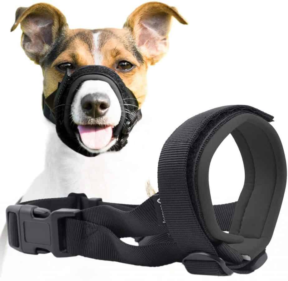 dog muzzle can drink water