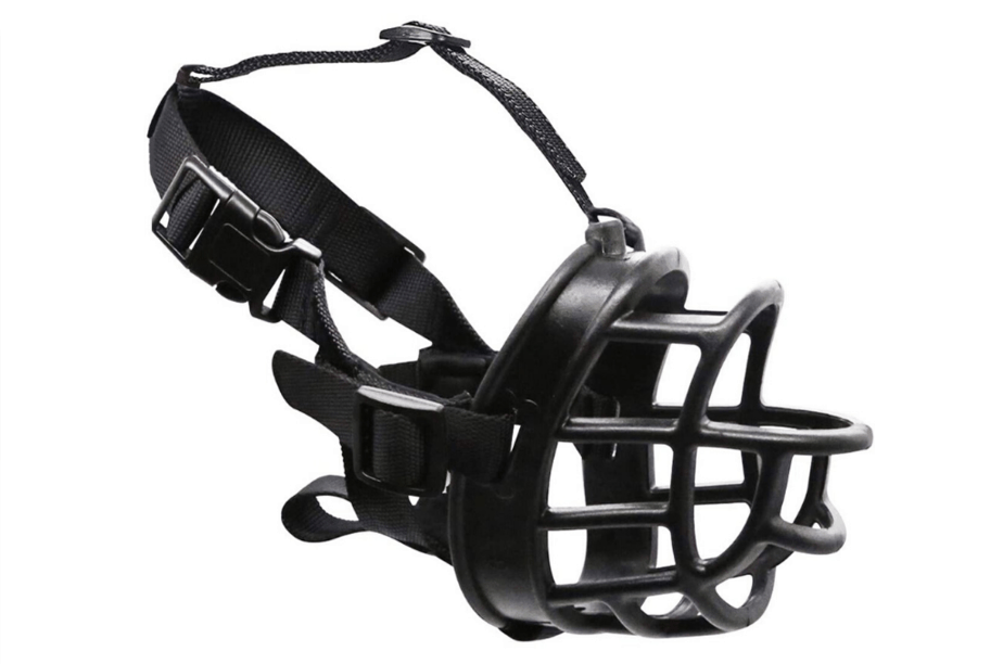 10 Best Dog Muzzles That Allow Drinking 2020 Dogs Travel Guide