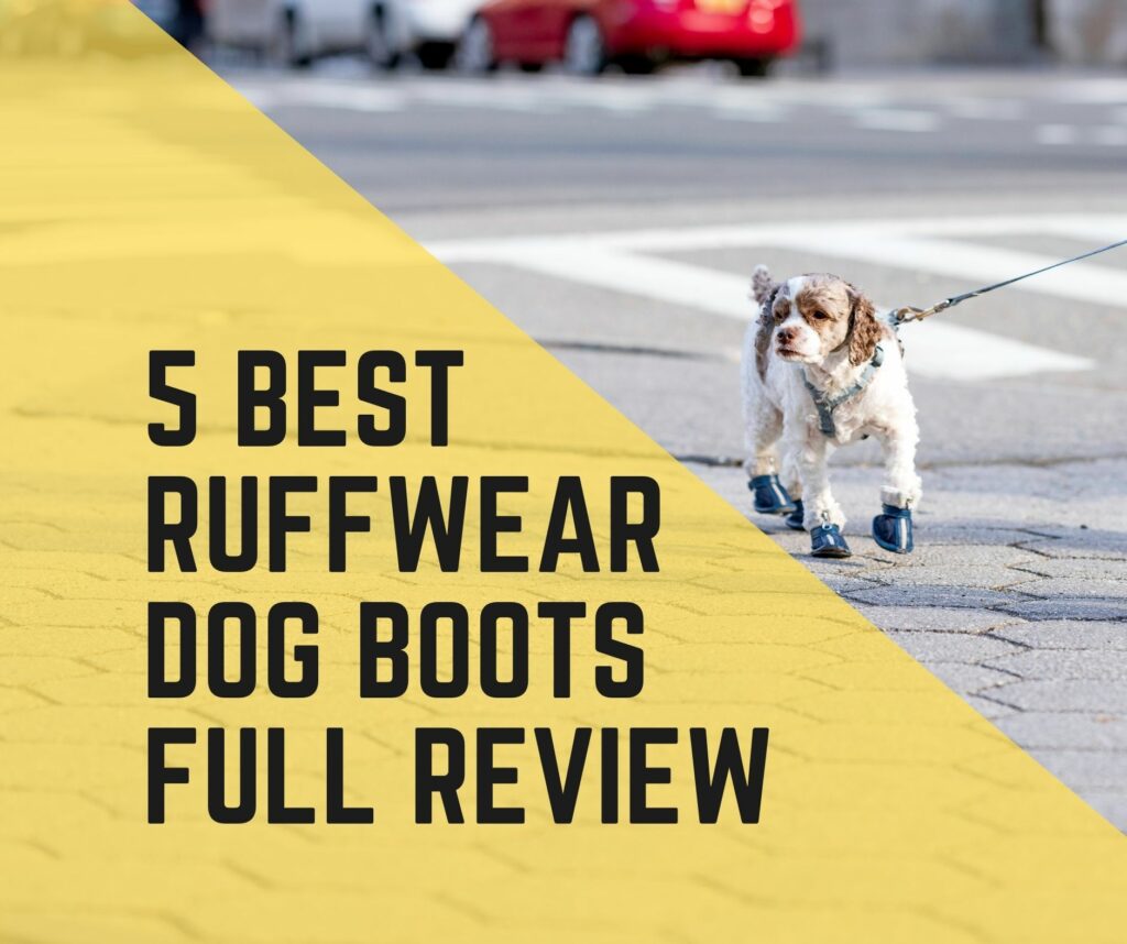 Best Ruffwear Dog Boots Full Review