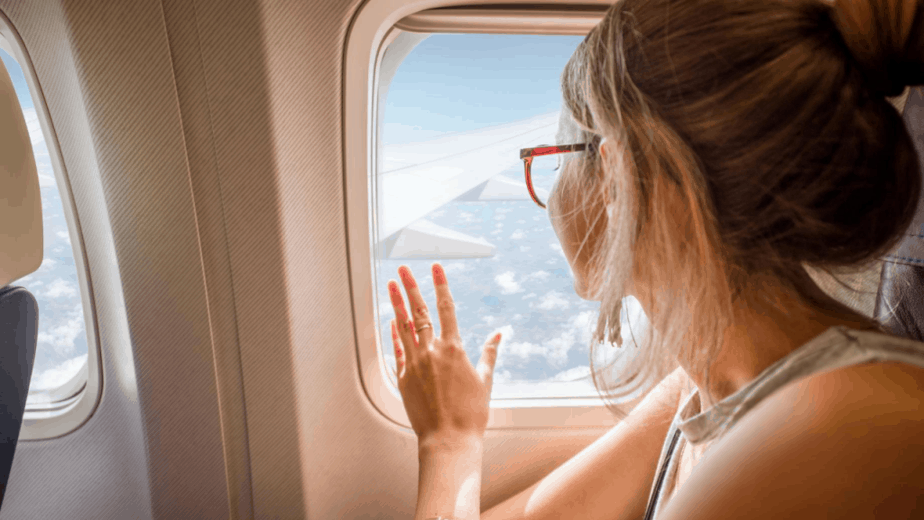 Airlines That Allow Dogs In Cargo
