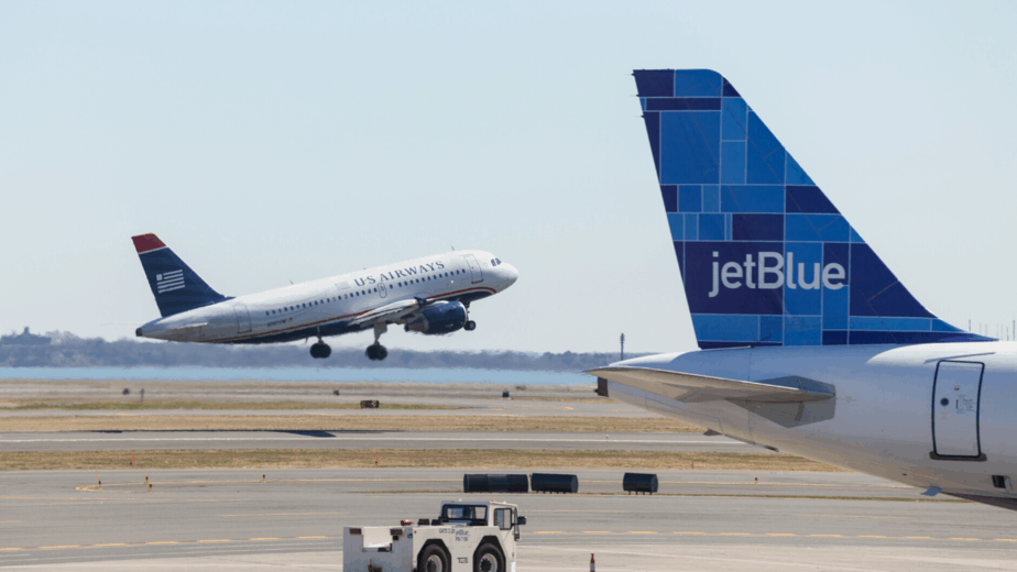 Airlines That Allow Big Dogs In Cabin