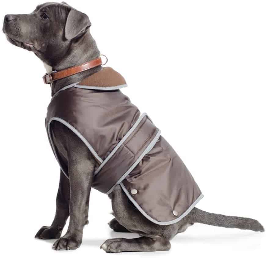 8 Best Waterproof Dog Coats With Underbelly Protection Dogs Travel Guide