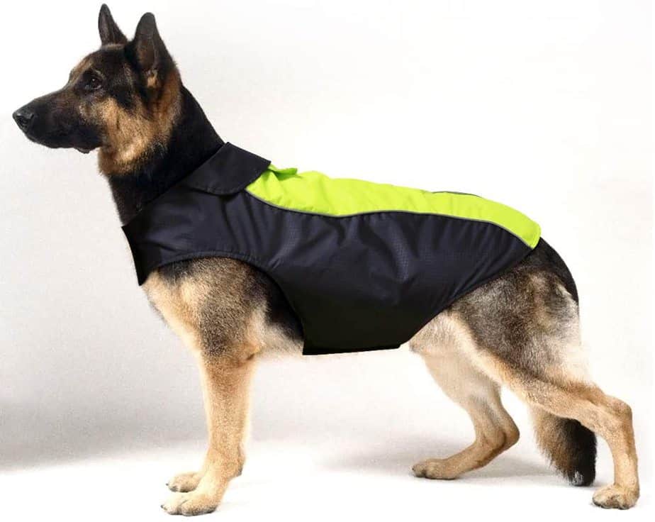 8 Best Waterproof Dog Coats With Underbelly Protection Dogs Travel Guide