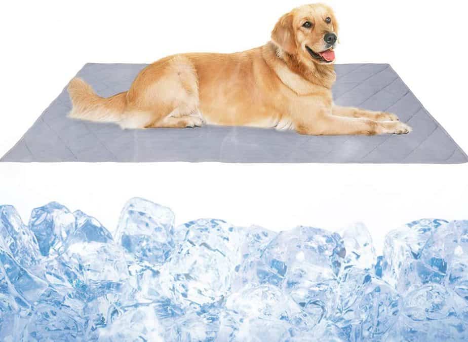 10 Best Dog Cooling Mats Ultimate Guide Dogs Travel Guide