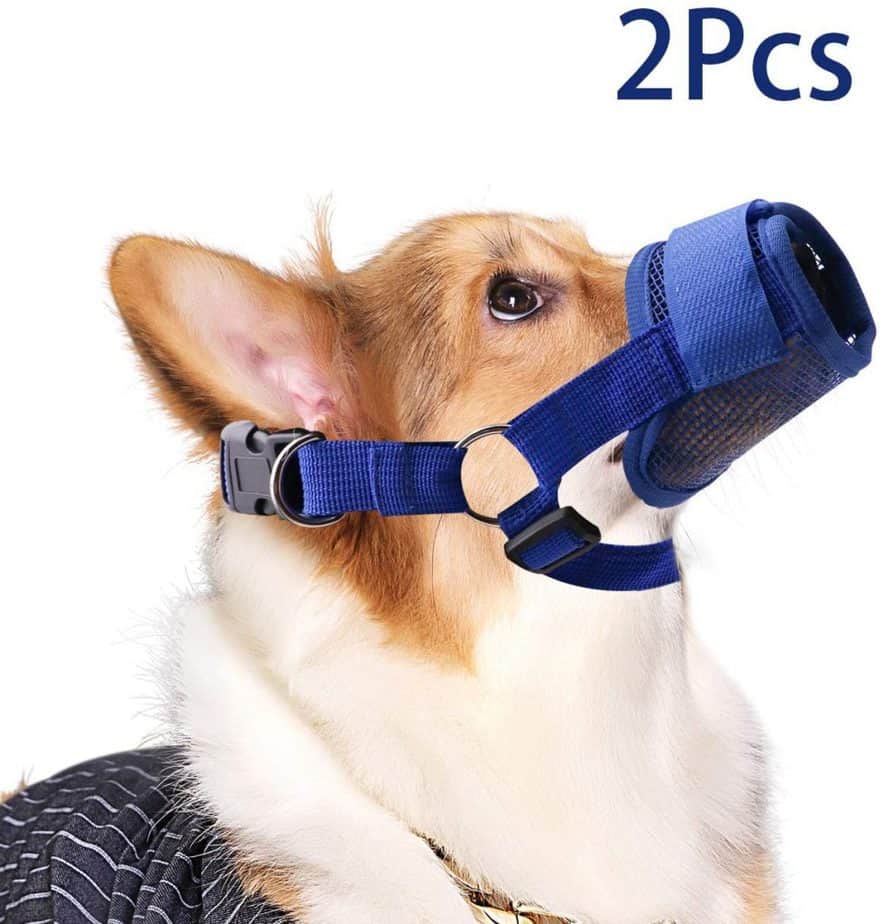 little dog muzzle