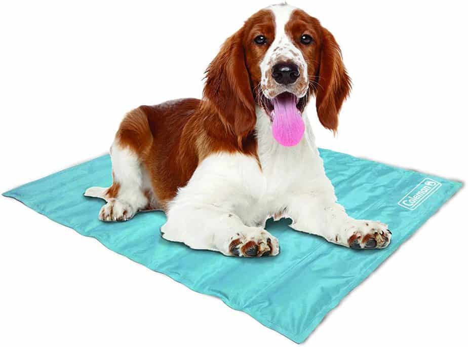 10 Best Dog Cooling Mats Ultimate Guide Dogs Travel Guide