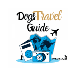 Yorkshire Terriers dogs traveling outside