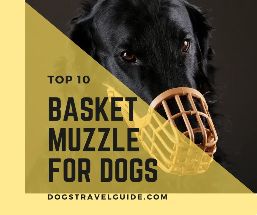 Best Basket Dog Muzzles