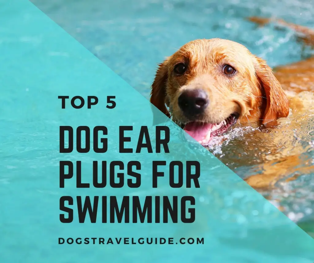 Dog Ear Plugs For Swimming