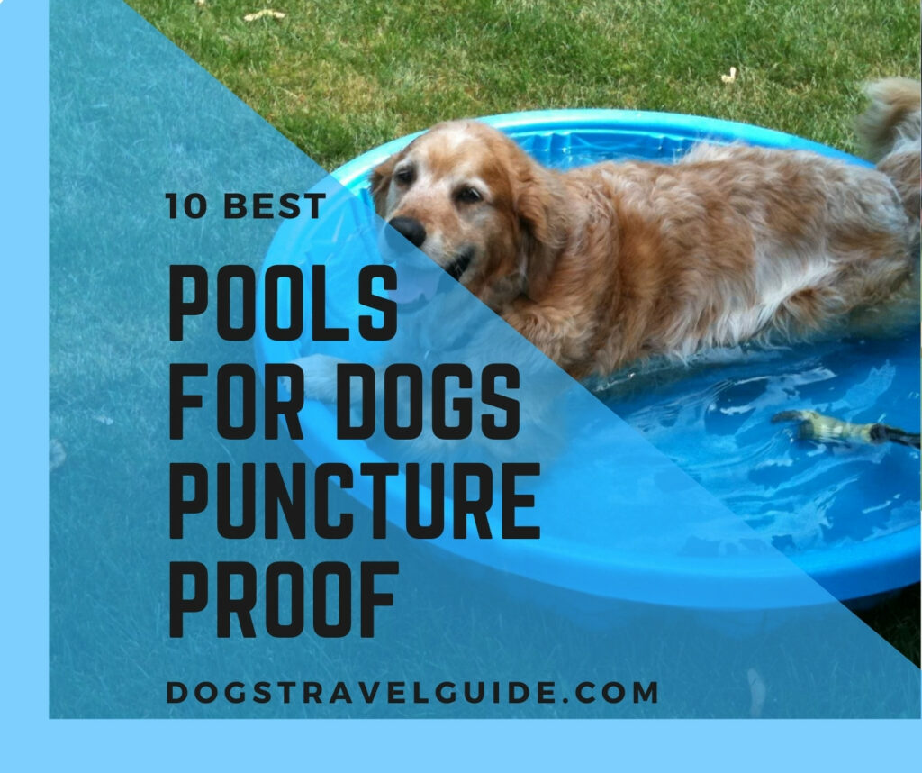 puncture proof dog pools