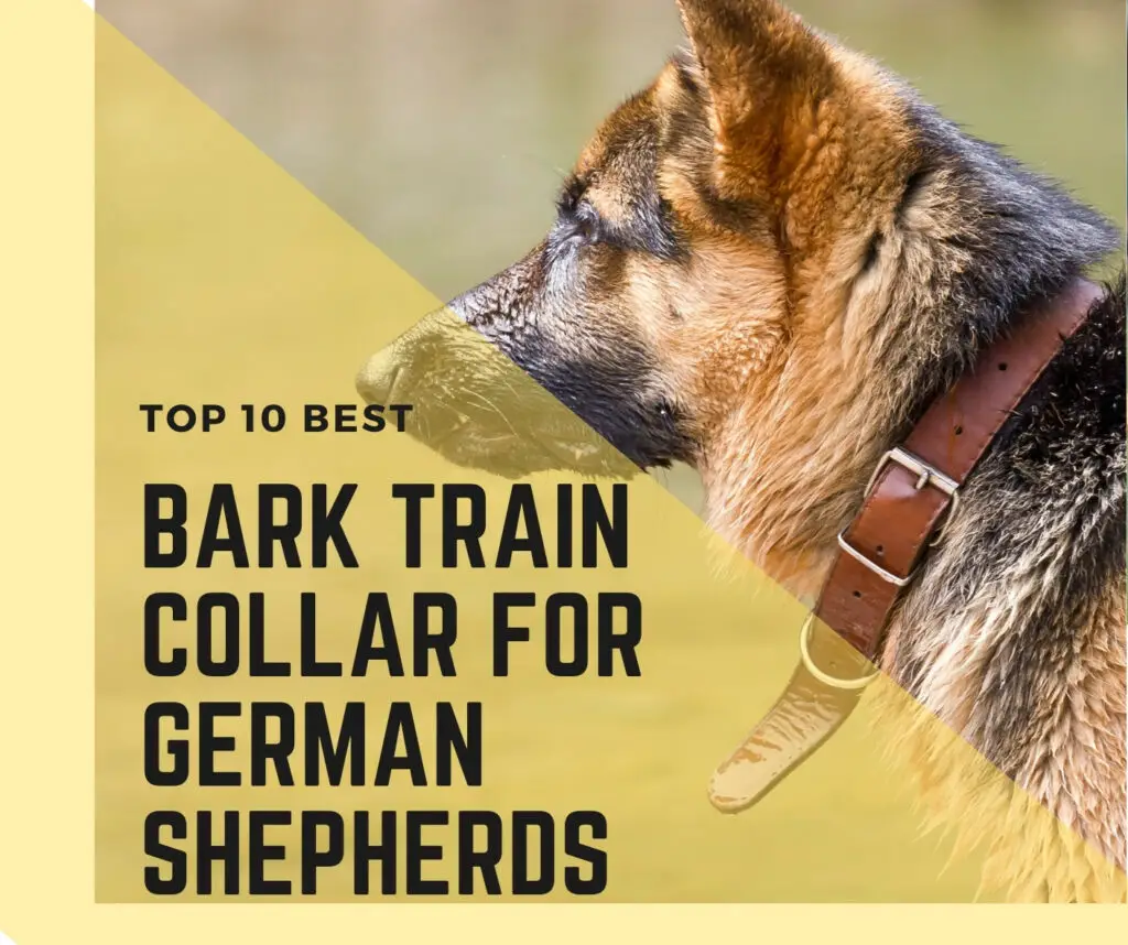 Anti bark collars for german shepherds