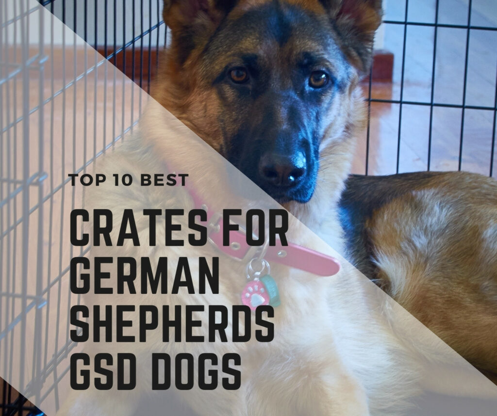 crates for german shepherds