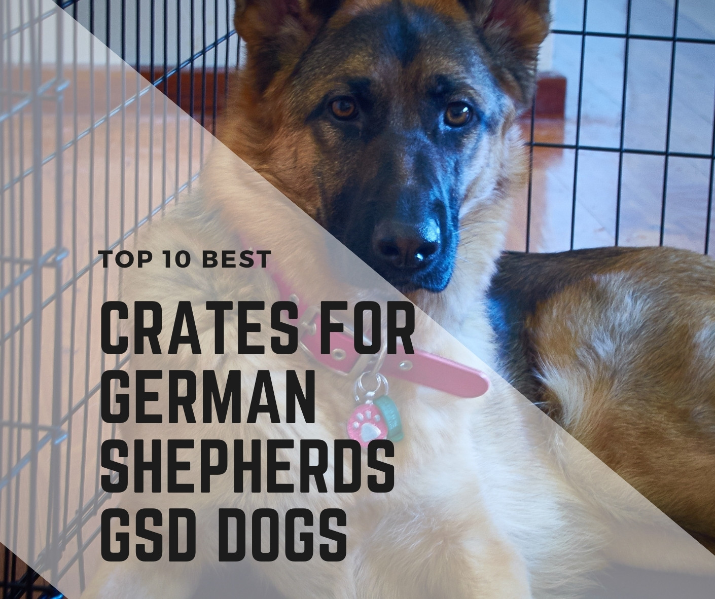 Best Dog Crate For German Shepherd Puppy at Hipolito Jackson blog