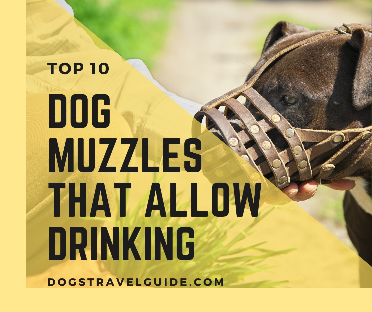 10 Best Dog Muzzles That Allow Drinking 2021 Dogs Travel Guide