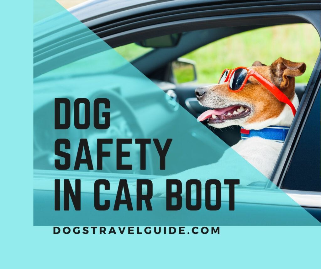 Dog Travelling In Car Boot (Rules & Safety)