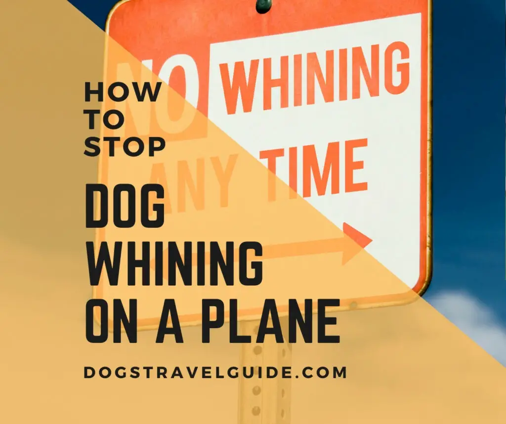 dog whining on a plane