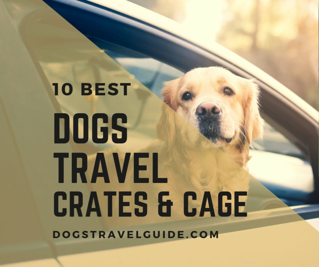 dogs travel crates and cages