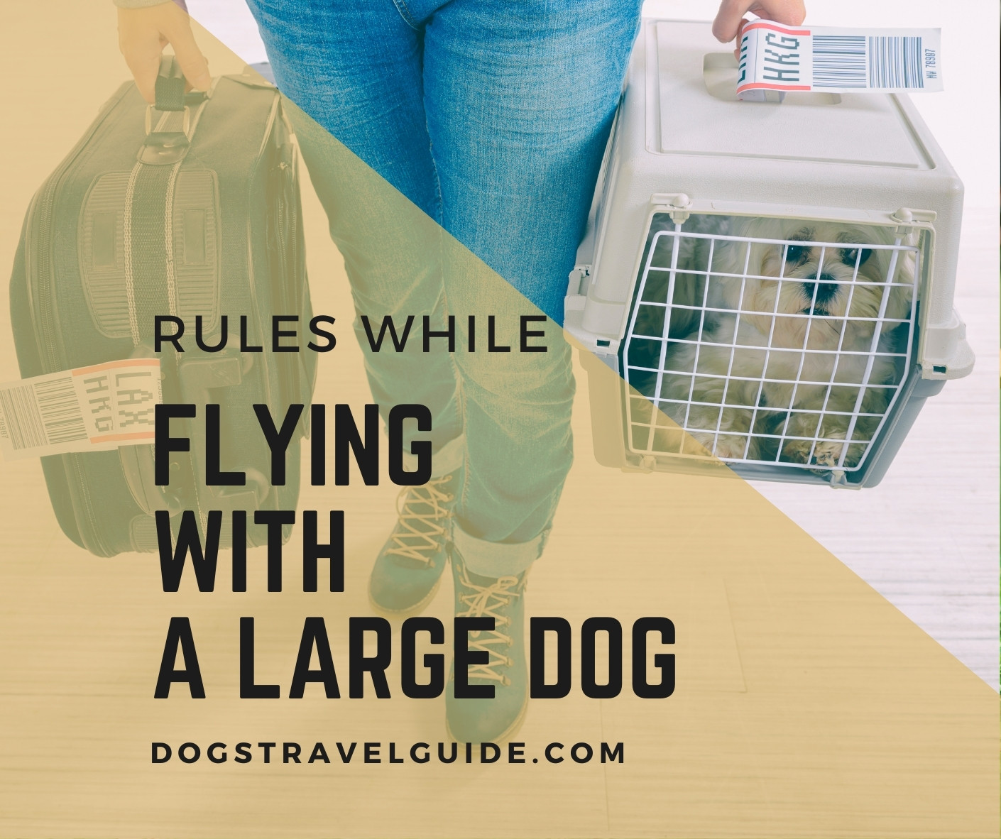 Flying With A Large Dog Rules & Regulations Dogs Travel Guide