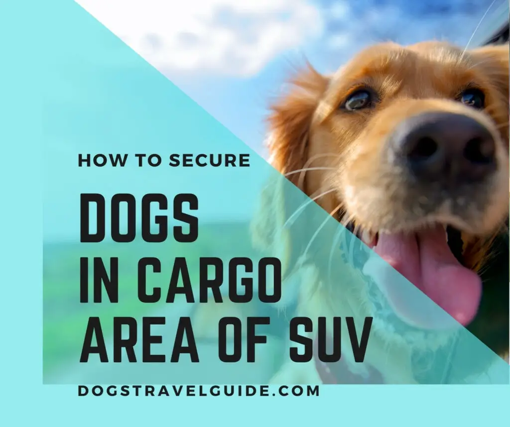 secure dogs in cargo area of suv