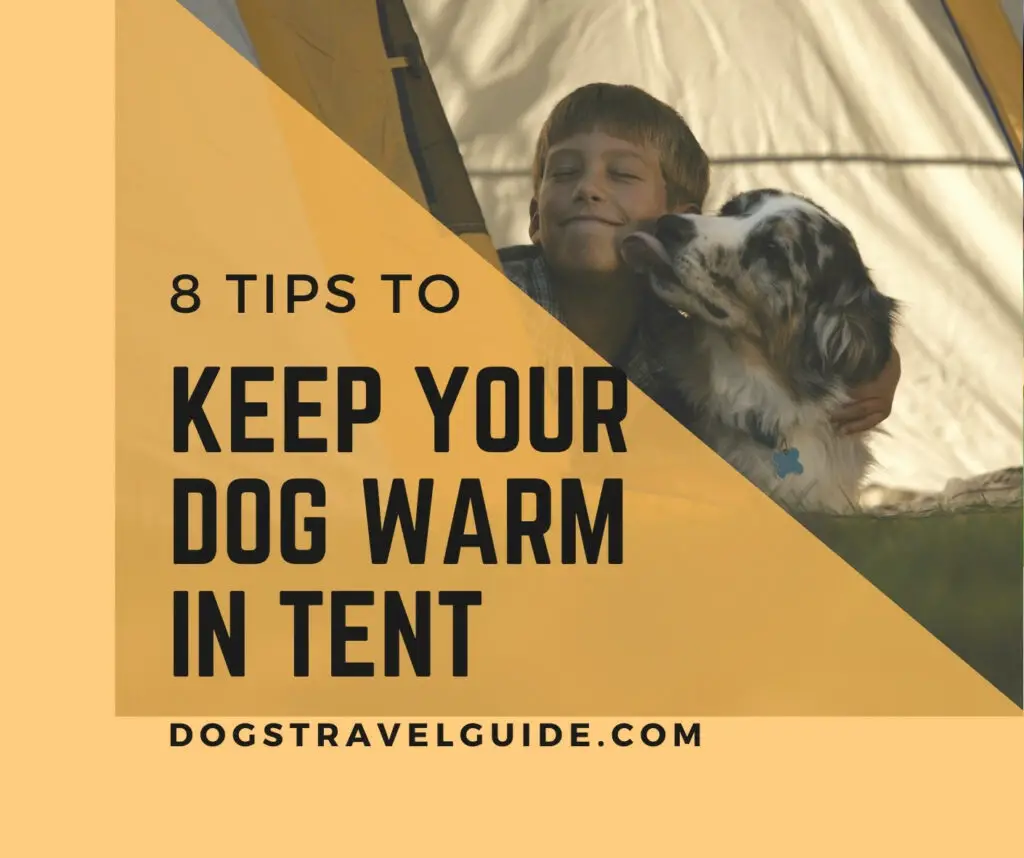 How to heep dog warm in tent