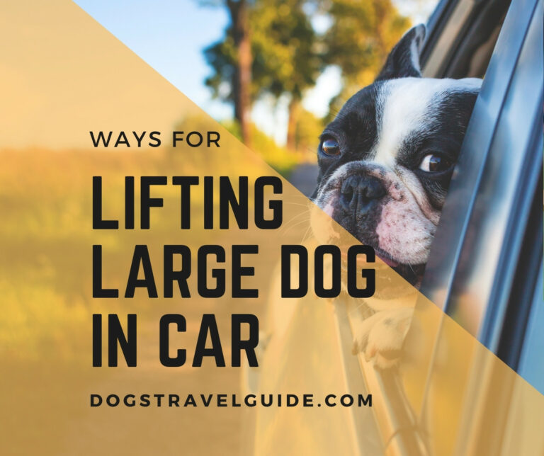 How To Lift A Large Dog Into A Car?