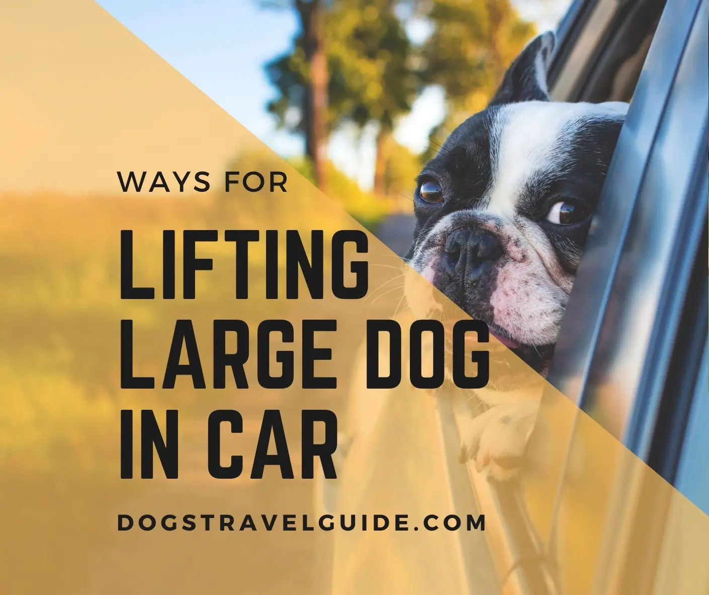 How To Lift A Large Dog Into A Car? - Dogs Travel Guide