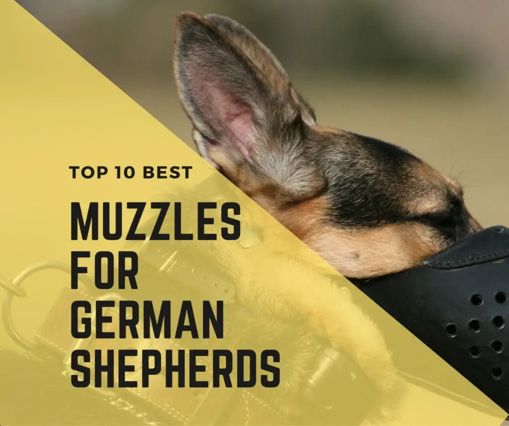 best muzzles for german shepherds