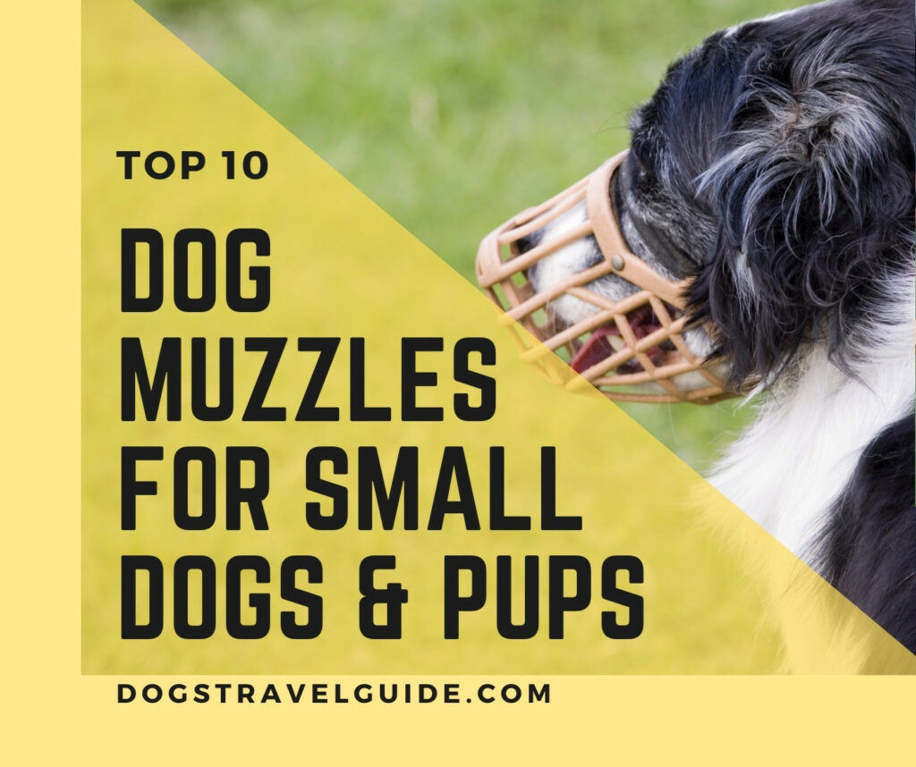 muzzles for smaller dogs and pups