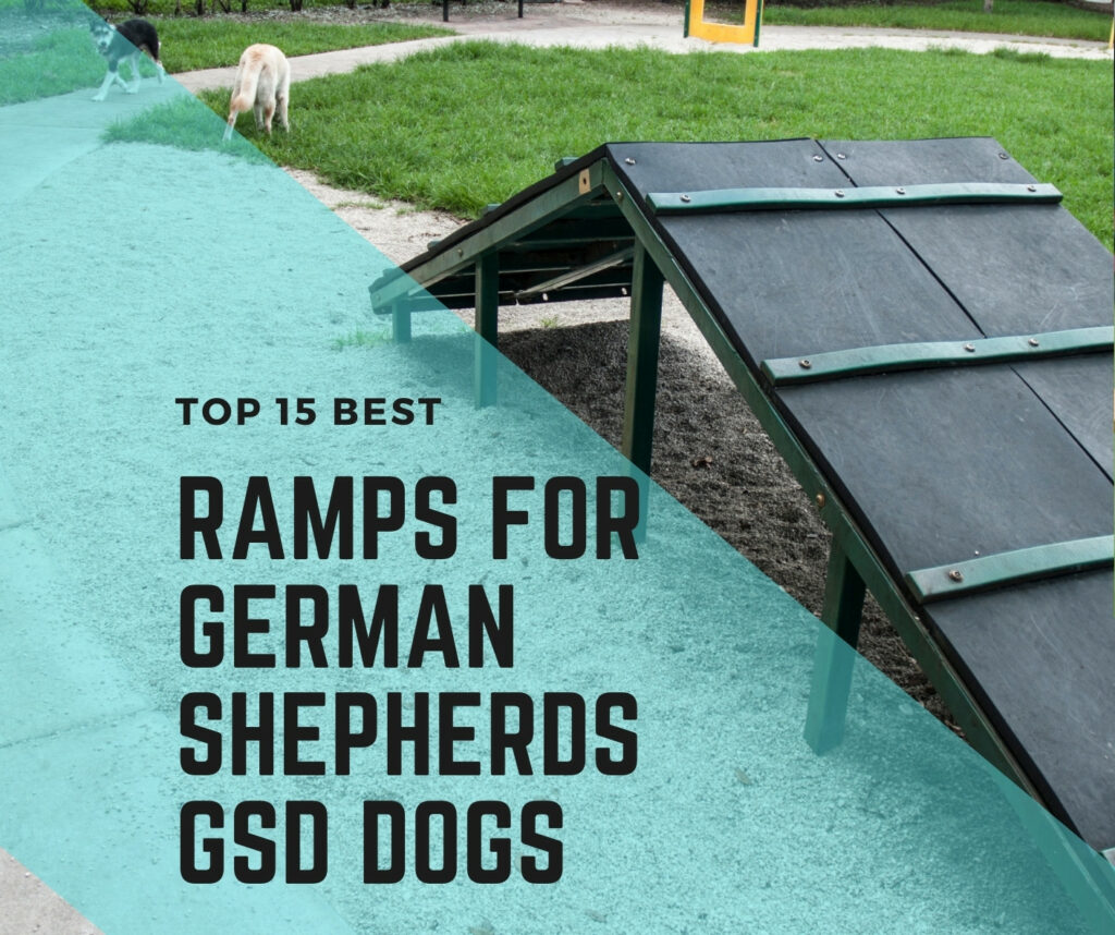 Dog Ramps for Cars, Beds, and Multipurpose