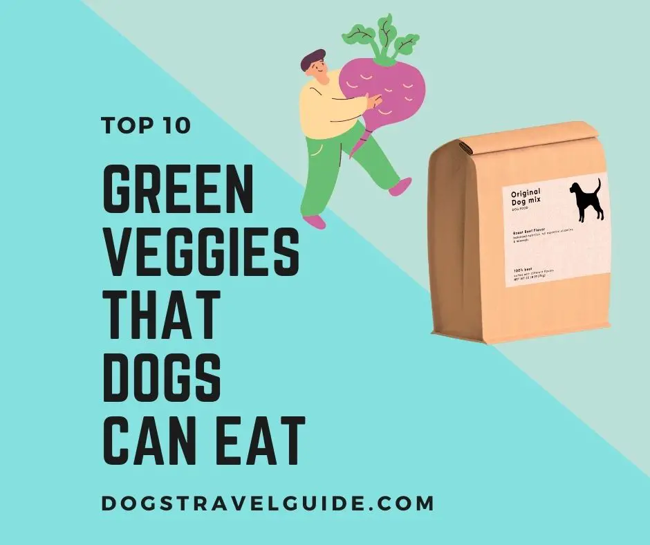 10 Green Veggies That Dogs Can Eat
