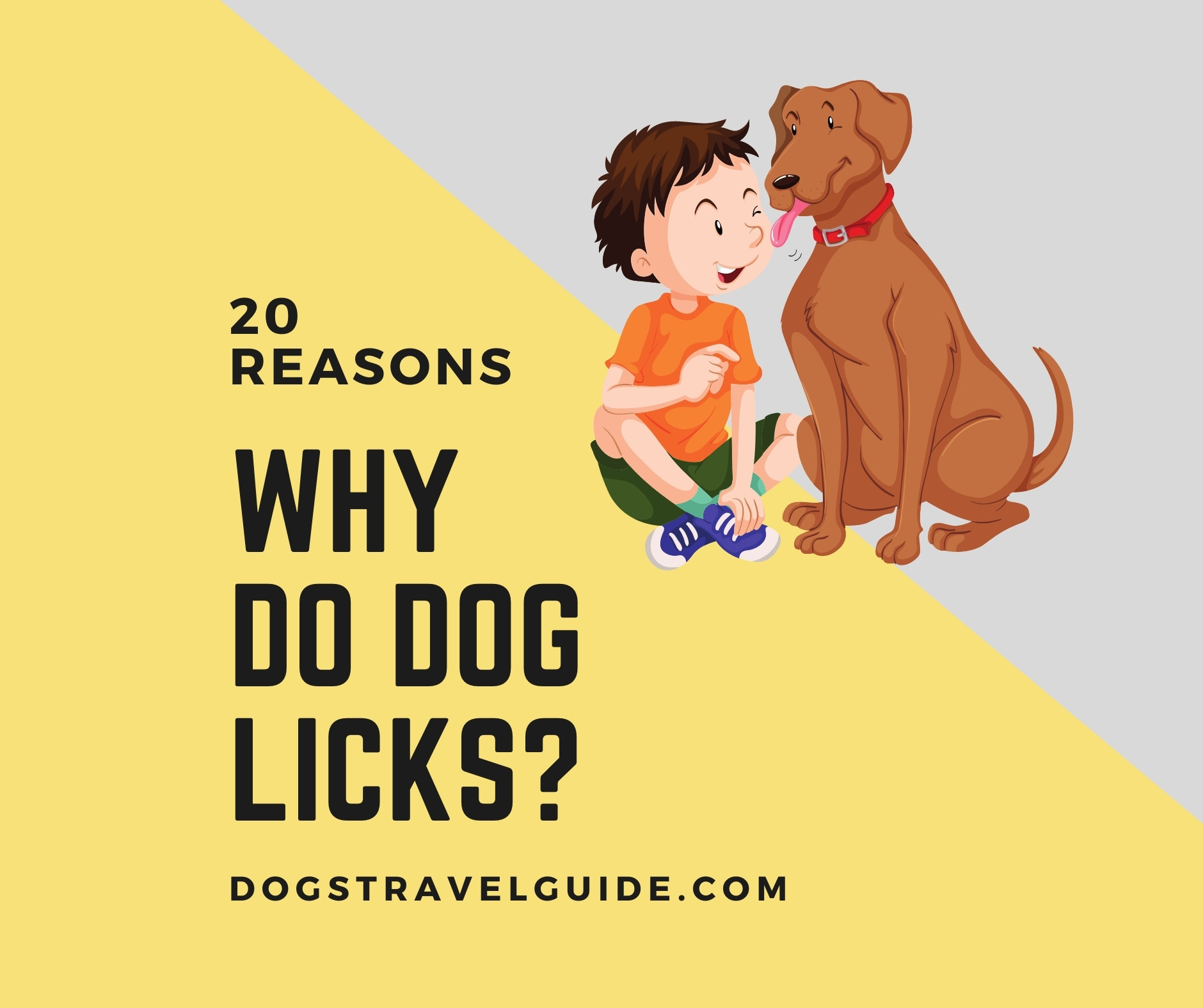 Why Do Dog Licks? 20 Reason You Must Know Dogs Travel Guide