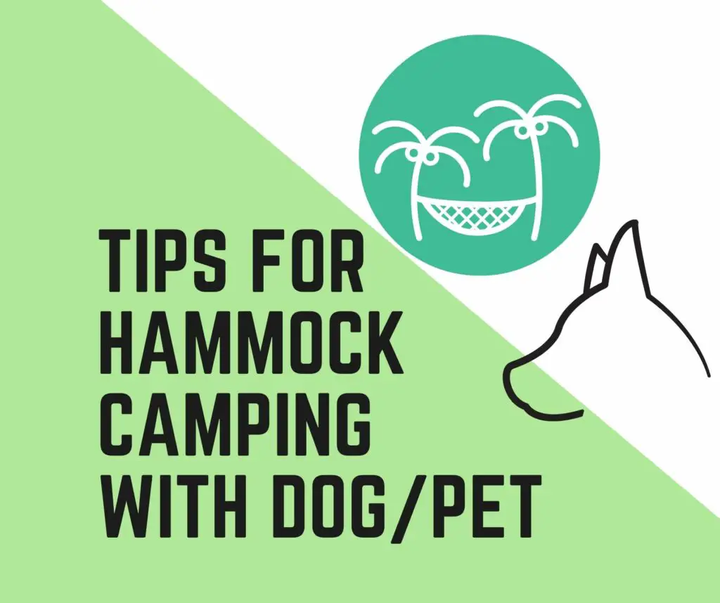 Hammock Camping with Dog or Pet