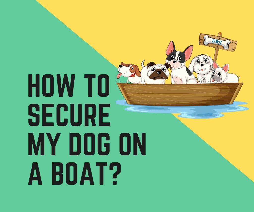 How can I secure my dog on a boat