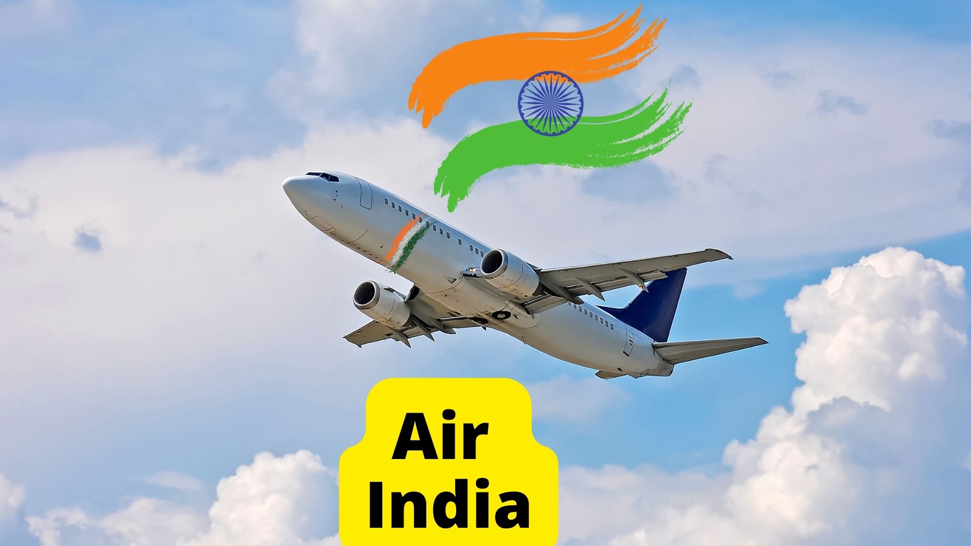 8 Airlines That Allow Birds In Cabin [2023 Policies] Dogs Travel Guide