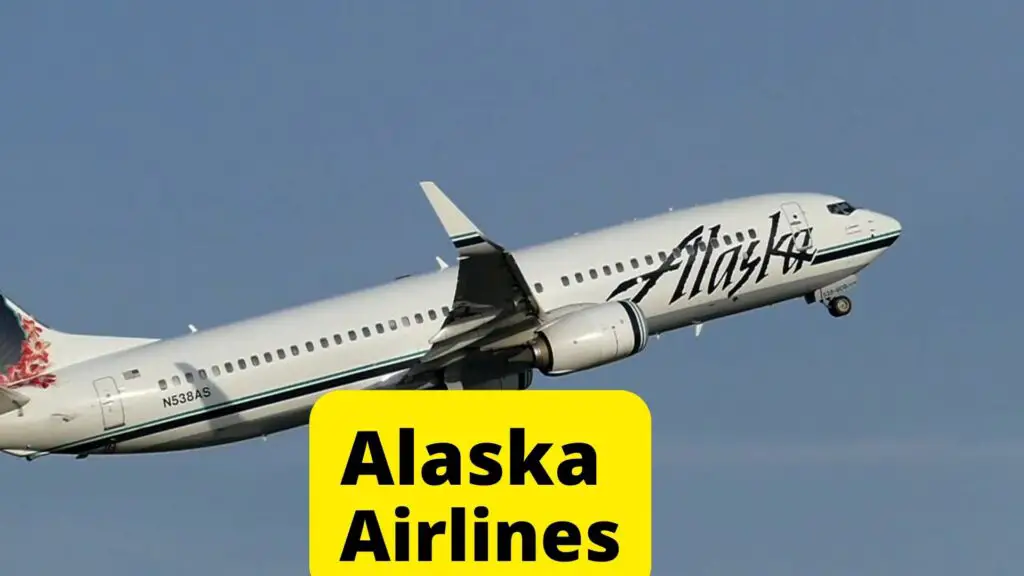 Alaska Airlines for Pets