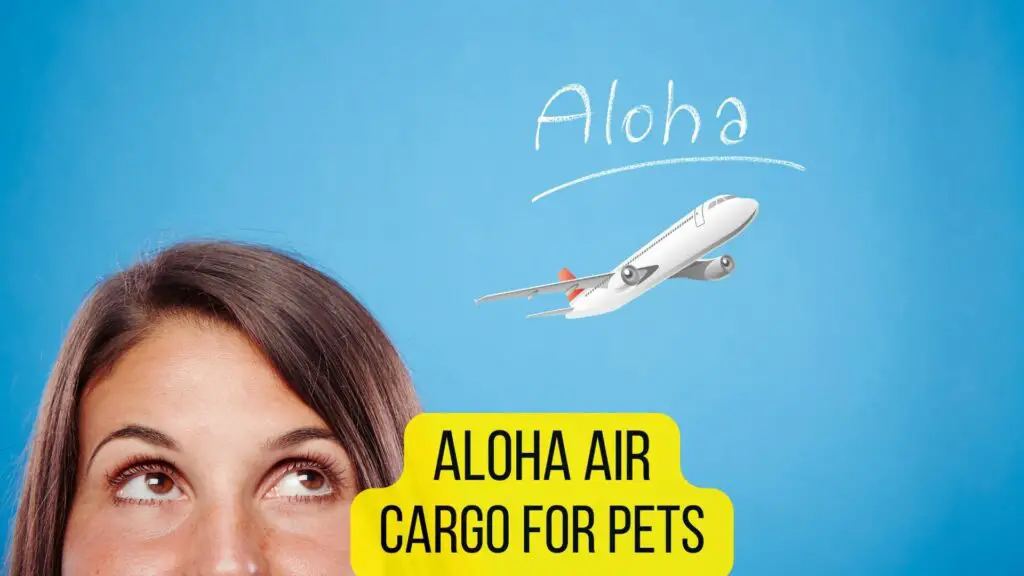 Aloha Airlines for Pets