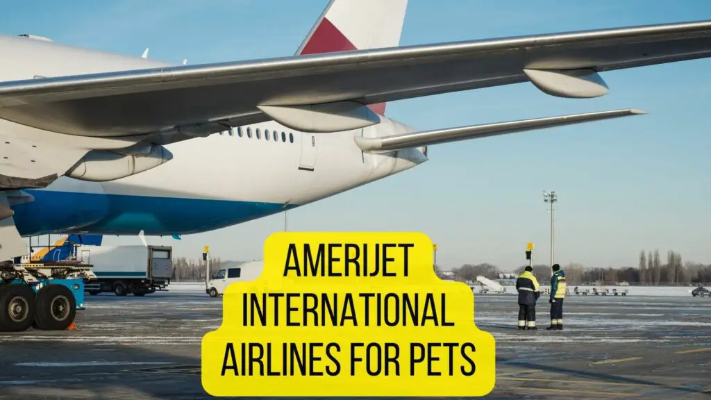 Amerijet International Airlines for pets