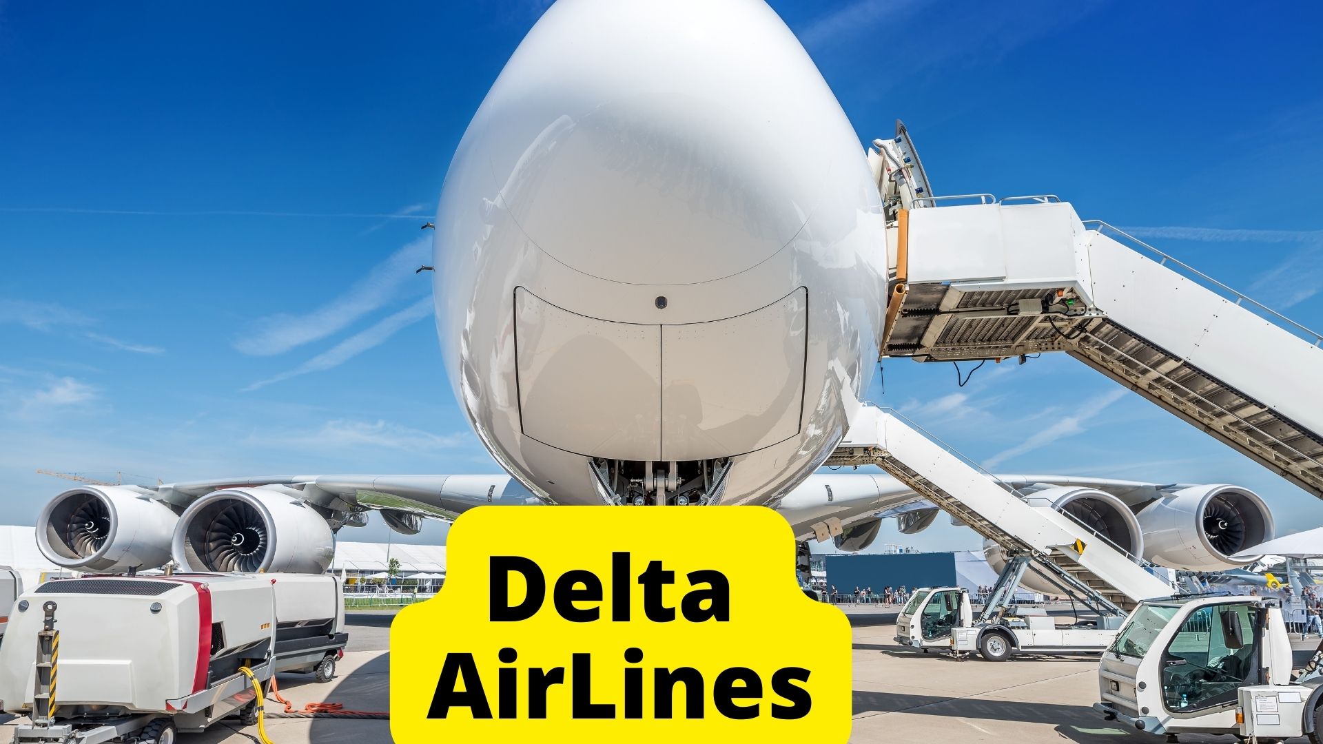 8 Airlines That Allow Birds In Cabin [2023 Policies] Dogs Travel Guide