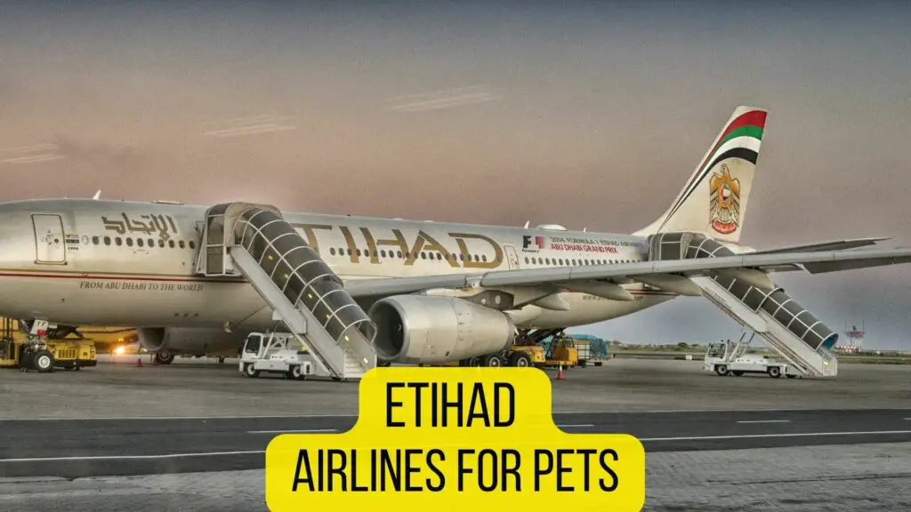 Etihad Airlines for Pets