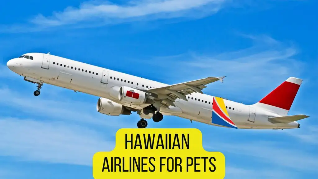 Hawaiian Airlines for Pets