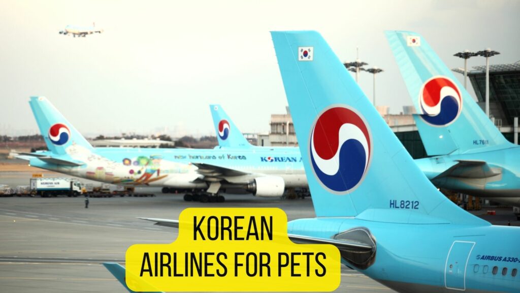 Korean Air for Pets